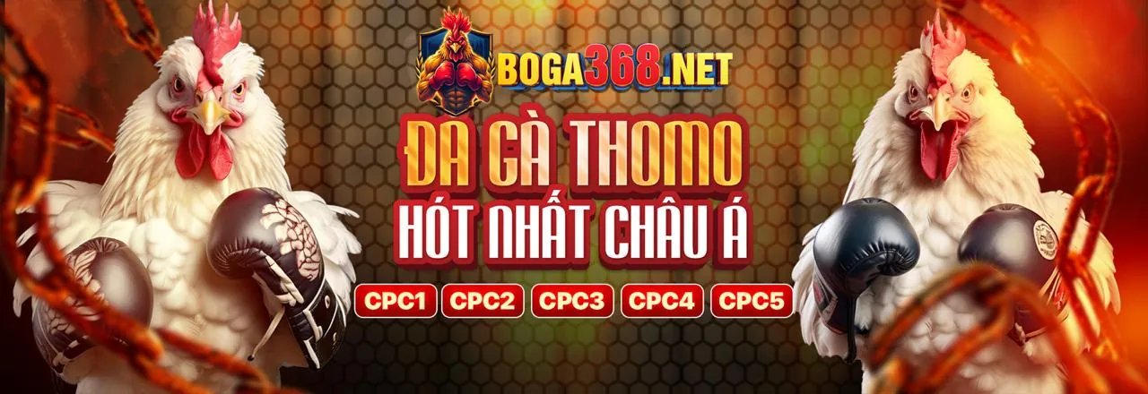 Tổng quan về thương hiệu Kubet79 và uy tín của nhà cái