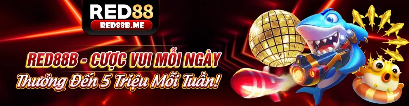 Phiếu đặt cược và xác nhận Kubet79 nhà cái