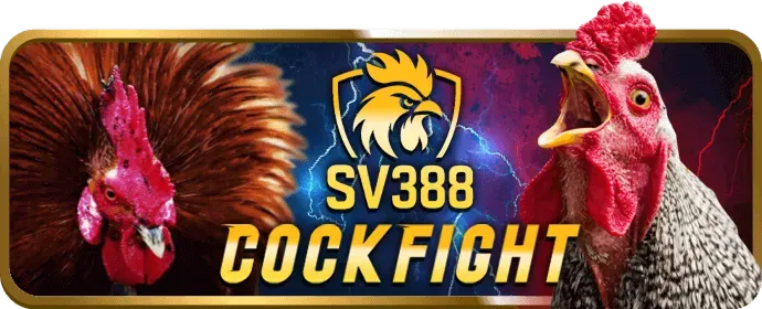 Cài đặt Kubet79 và đăng nhập
